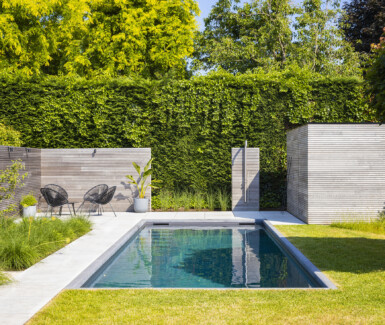 bouwkundig betonnen zwembad met hoge waterlijn in stadstuin, zwembad in de tuin aangelegd door DcPools