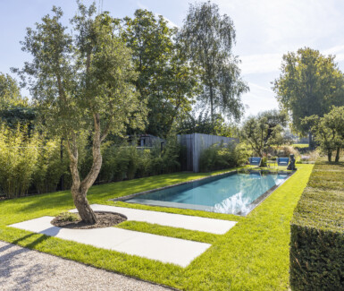 biologisch grasrand zwembad aangelegd door Art Pools  customized monoblock zwembad Carropools