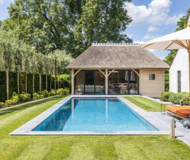 luxe betonnen skimmer zwembad aangelegd door Dhaenens Pools and Gardens