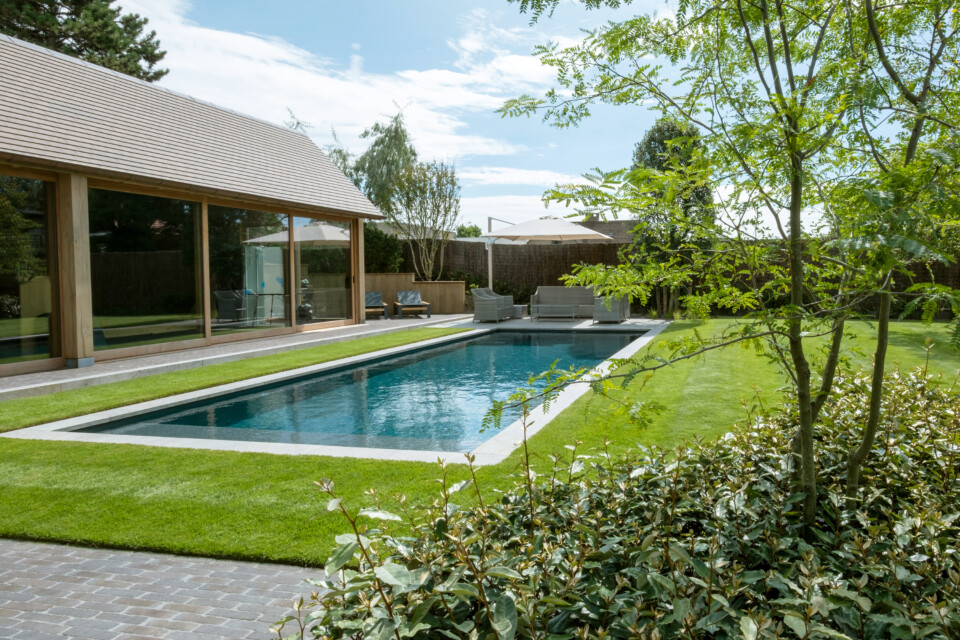 k_DSF9543Final_high res.