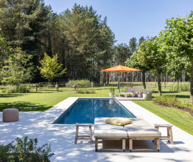 luxe inox zwembad biedt zicht op de Kempense bossen, zwembadbouwer, zwembad in de tuin, Van Eeckhoudt Zwembaden, demooistezwembaden